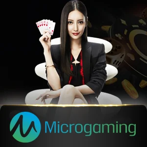 microgaming-casino 